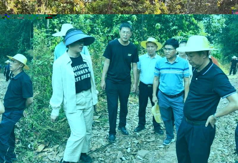 西双版纳州人大常委会副主任张文虎调研景洪市农村供水保障项目