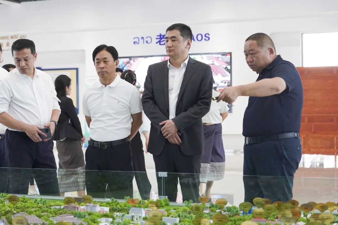 广西大数据发展局党组书记、局长赵志刚调研赛色塔综合开发区