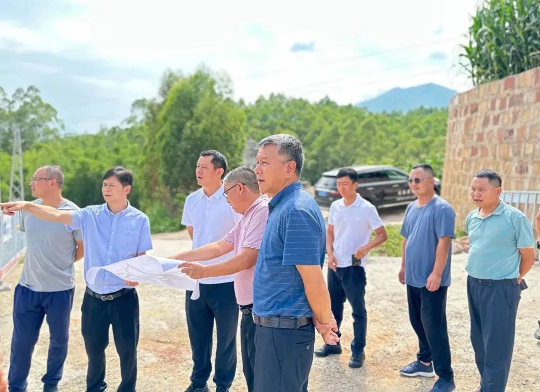 普洱市委副书记、市长王刚调研景谷林产工业园区项目